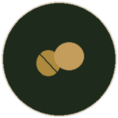 Argan oil kernels