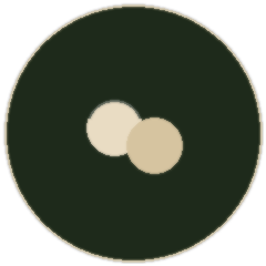 Macadamia nuts